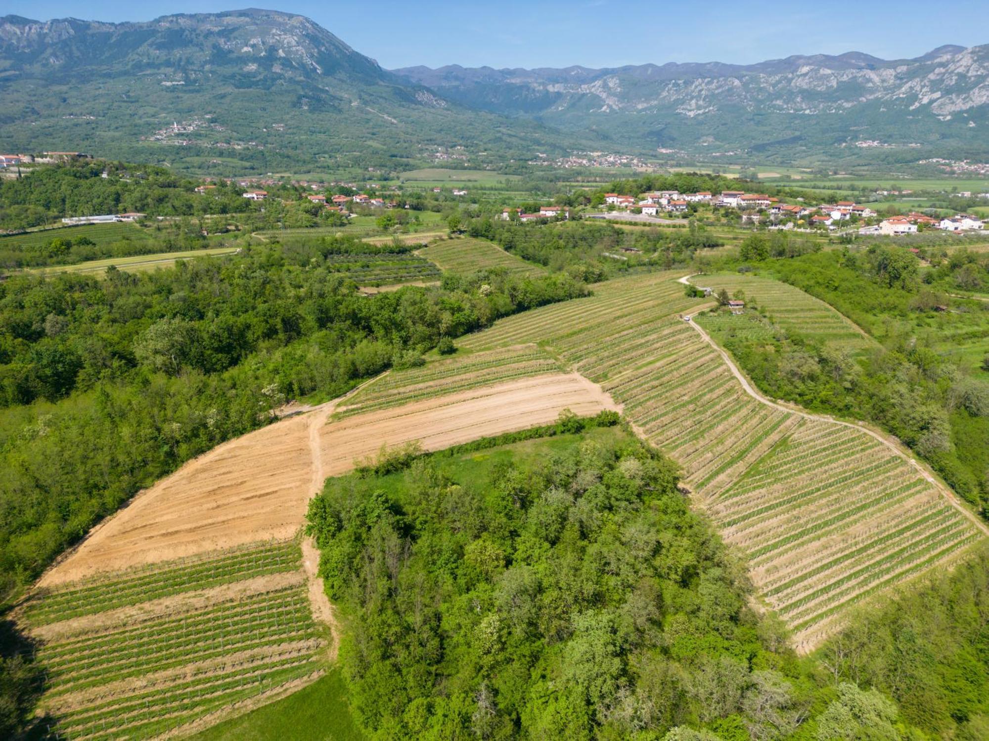 Ajdovščina Apartma Valic מראה חיצוני תמונה